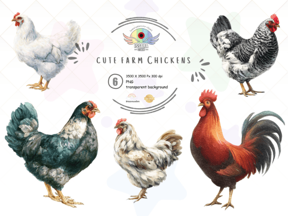 Farm Chicken PNG Clipart Set